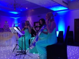 Silken Strings electric string trio.