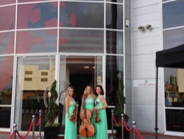 Silken Strings Electric String Trio.